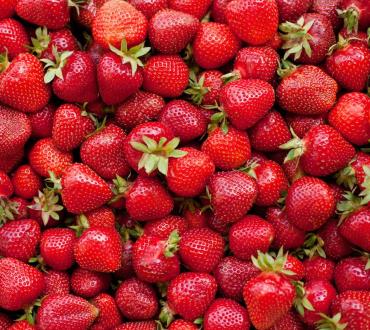 Dragon, Foliboost & Ferasium boost on Strawberries
